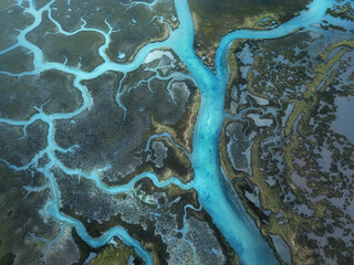 Blue Arteries of the Aveiro Lagoon, Portugal