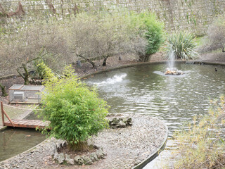 the beautiful natural landscape