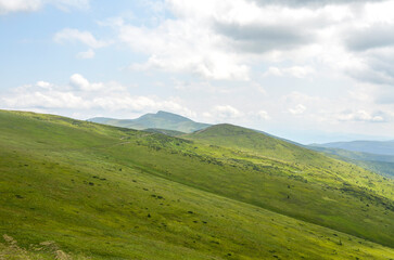 Obraz premium Expansive landscape of lush green hills and a dramatic cloudy sky, evoking tranquility and peace in the heart of nature. Svydovers, Carpathian Mountains, Ukraine