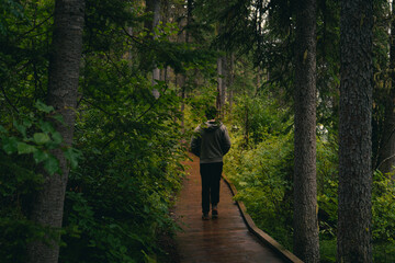 Fototapeta premium Person walking a path into the woods surrounded by lush green foliage.