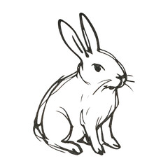 Obraz premium PNG Minimalist sketch of sitting rabbit.