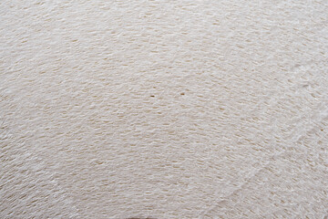 Side View of Rolled White Paper Showing Layered Texture
