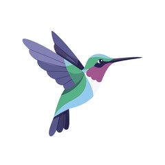 Obraz premium Colorful Hummingbird Flying Isolated