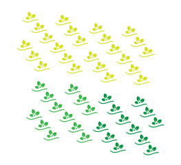 pattern design