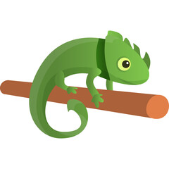 A bright green chameleon with yellow eyes rests on a brown wooden branch against a clean white 