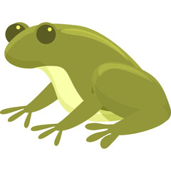 A bright green frog with large dark eyes sits calmly on a transparent background showcases its light yellow underside and detailed limbs in a simple flat illustration style.