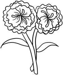 Carnation Flowers Vector Outline Line Art Drawing