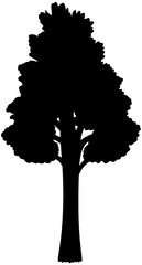 Ponderosa Pine Tree Silhouette Vector Shadow Illustration