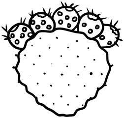 Prickly Pear Cactus Fruit Vector Outline Line Art Drawing