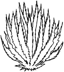 Sagebrush Plant Vector Outline Line Art Drawing