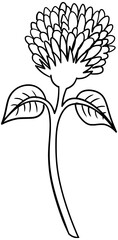 Red Clover Flower Vector Outline Line Art Drawing