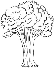 Plains Cottonwood Tree Vector Outline Line Art Drawing