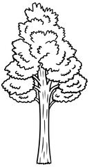 Ponderosa Pine Tree Vector Outline Line Art Drawing