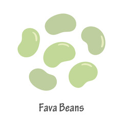 Hand Drawn Fava Beans Illustration