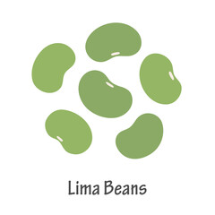Hand Drawn Lima Beans Illustration