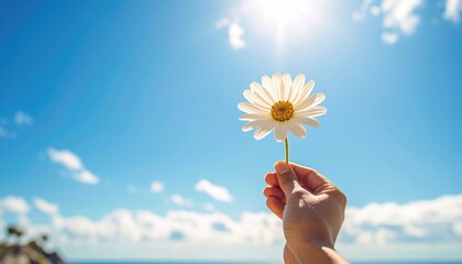 Hand Holding White Daisy Flower Against Bright Blue Sky Sunlight With Soft White Clouds