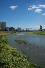 Fototapeta premium 雲の流れる川辺の風景