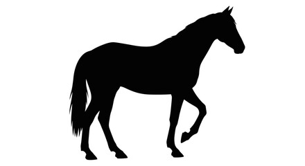 Silhouette of a horse walking, isolated on a white background.