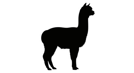 Silhouette of an alpaca standing in profile against a white background.