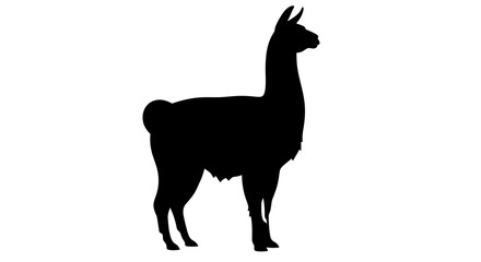 Silhouette of a Yak standing on a white background.