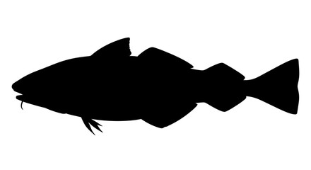 Silhouette of a cod fish with visible barbels and fins, isolated on white background.