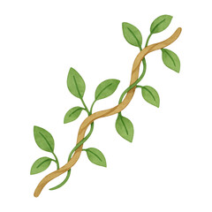 Obraz premium PNG Natural vine illustration with leaves.