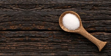Fine grains of refined white sugar on a spoon - Saccharum officinarum