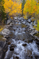 Bishop Creek in Fall