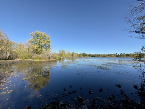 A lake against a blue sky