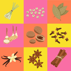 set illustration vector graphic of herbs and spices