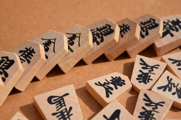 ドミノ倒し 将棋倒し