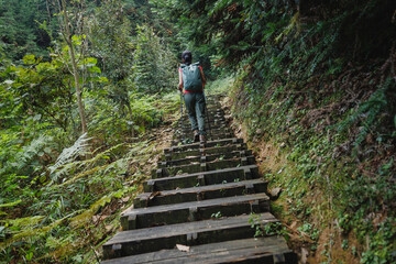 Woman hiking in autumn forest mountain