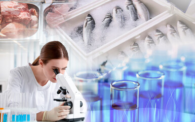 Fototapeta premium Laboratory food analysis. Expert using microscope, multiple exposure with test tubes, seafood and meat