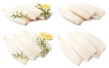 Fresh squids isolated on white, collage. Top and side view