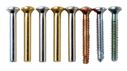 A diverse collection of metal screws and fasteners with different finishes and textures arranged in a line.