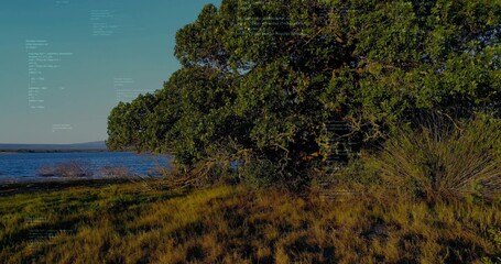 Obraz premium Leafy shrubs and grass tufts swaying in breeze along lake shore, with rolling hills, copy space