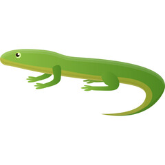 Green Lizard with Yellow Underside and Curved Tail on a White Background