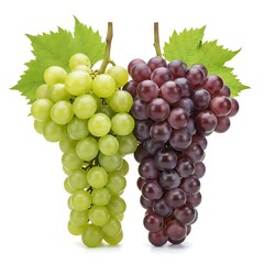 Two Bunches of Green and Red Grapes with Leaves green grapes