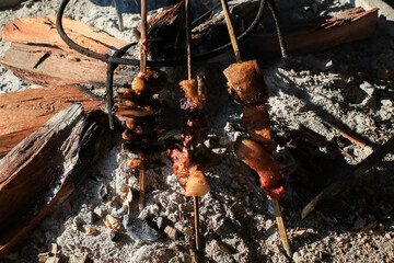Grill pork on traditional open fire stove glowing wood burning under morning sunlight. Camping Traditional outdoor cooking.
