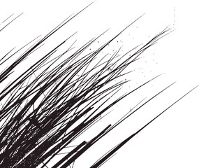 Obraz premium Black white abstract digital art with sharp lines and speckles black and white