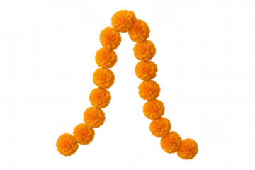 Marigold flower garland forming arch shape for festive decoration on transparent background