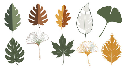 Collection of Various Leaf Designs Oak, Ginkgo, Maple, and Tropical Leaf Illustrations