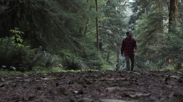 Outdoors hiker walking toward and passing low angle camera on Pacific Northwest trail in old growth forest in half speed, slow motion.