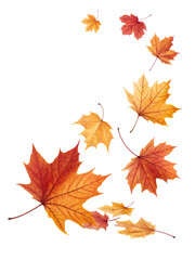 Falling Autumn Leaves PNG