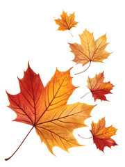 Fototapeta premium Falling Autumn Leaves PNG