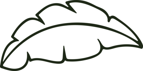 Outline of a single green leaf with a dark outline on a transparent background graphic element