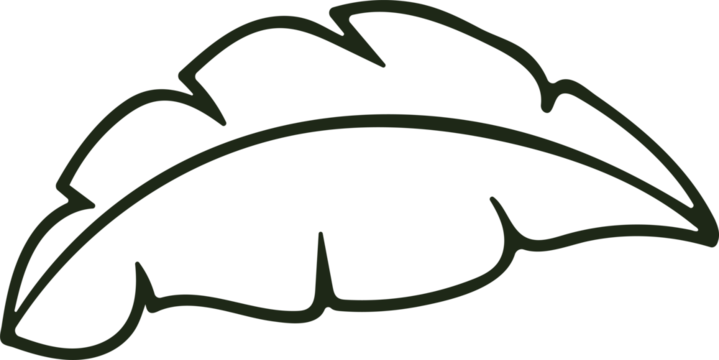 Outline of a single green leaf with a dark outline on a transparent background graphic element