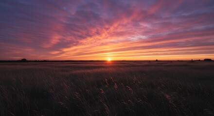 Vibrant sunset paints the sky with fiery hues over a tranquil field.