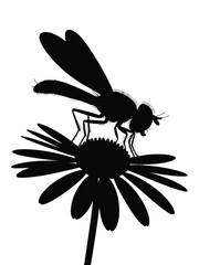 Silhouette of a dragonfly perched on a daisy flower