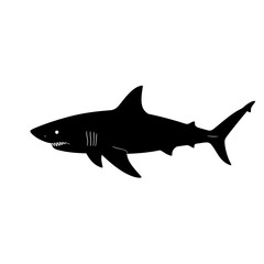 Powerful silhouette of a great white shark swimming in the deep ocean waters